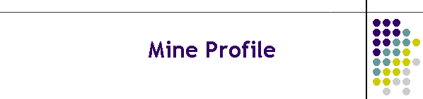 Mine Profile